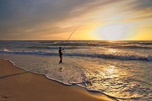 surfcasting