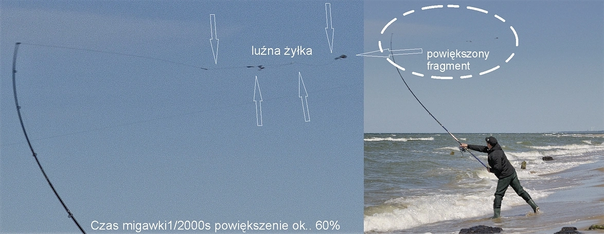 Faza luzowania się zestawu surfcastingowego podczas rzutu
