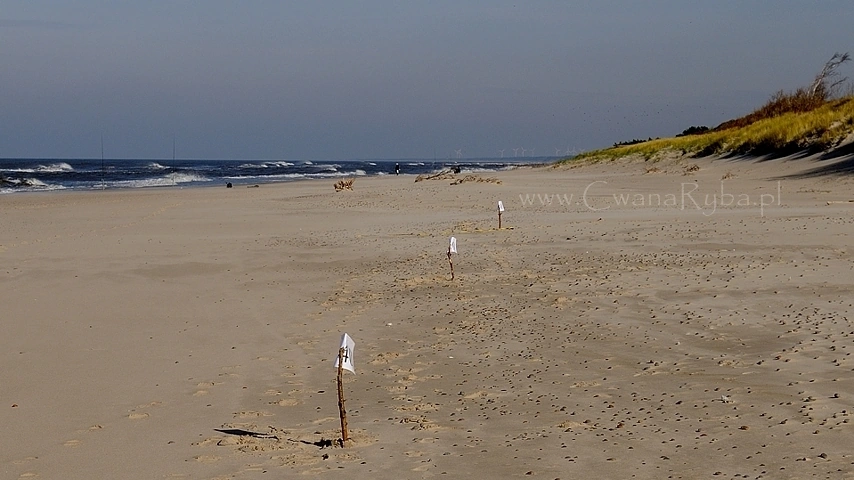 Test wędek surfcastingowych