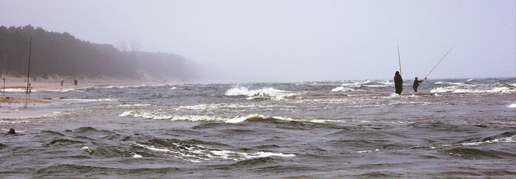 surfcasting-mity