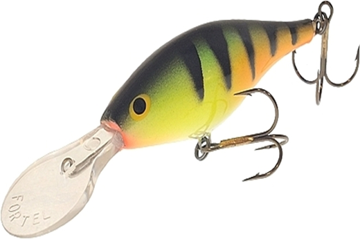 Wobler FORTEL Shannon